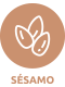 sesamo