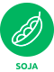 soja
